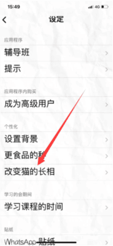 fatty cat改变猫的长相1