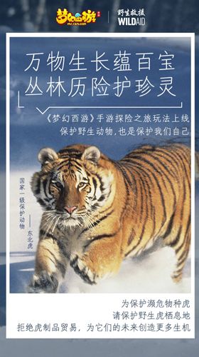 梦幻西游2