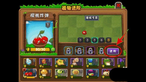 植物进阶方法配图3