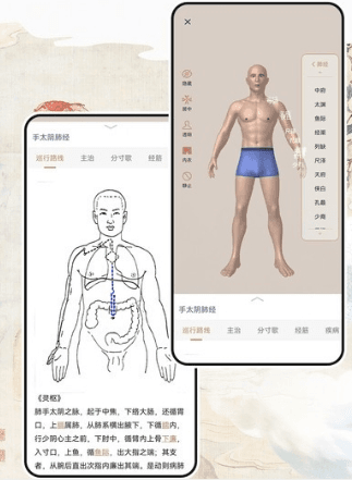 经络穴位标准指南app宣传图3