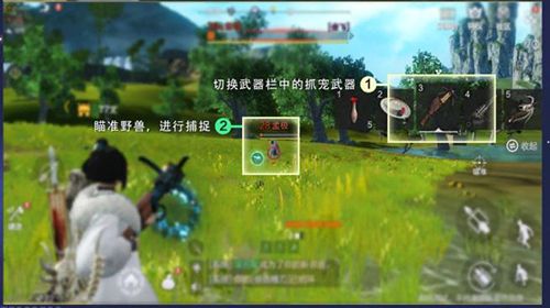 妄想山海宠物怎么抓永久