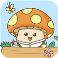 蘑菇记账app官方版