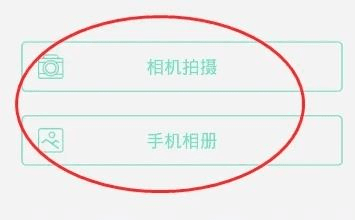 智学网学生端12