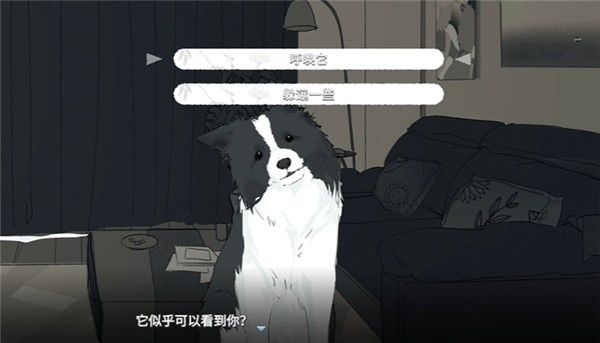 流程攻略配图9