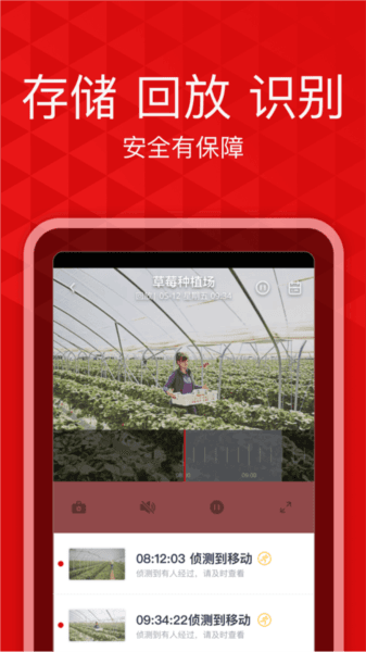 爱录图片