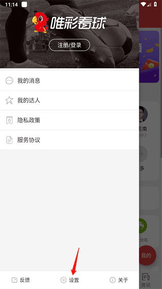 唯彩看球10