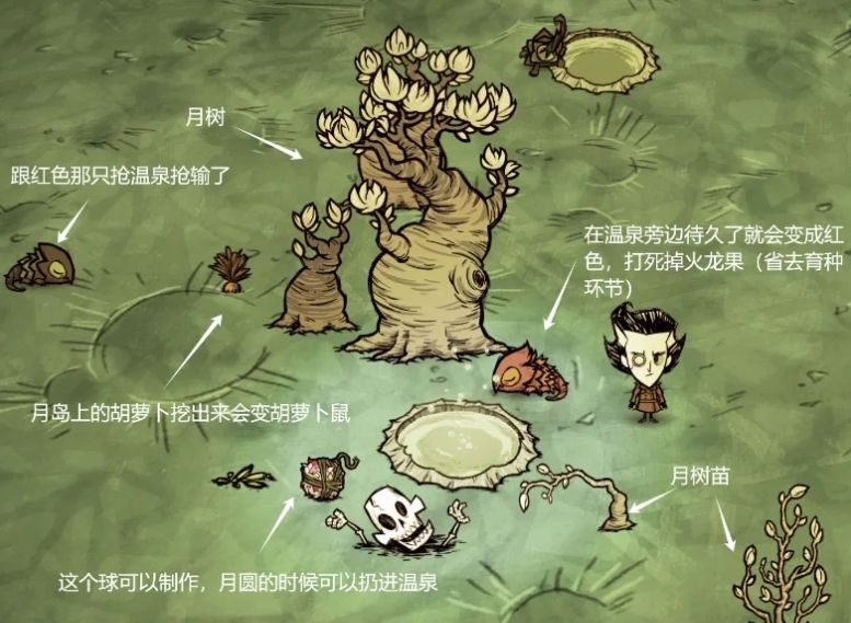 饥荒月岛海滩和浴场中有什么 饥荒月岛海滩和浴场中有什么