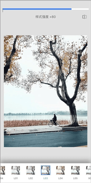 如何修出“漫长的季节”感照片配图3