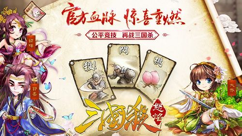 怒焰三国杀