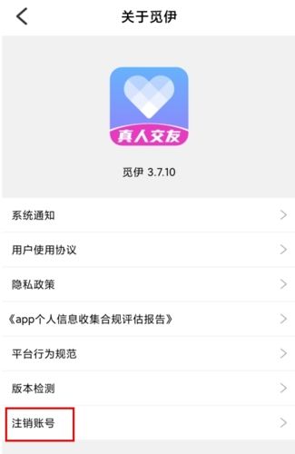 觅伊12