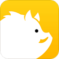 野猪星球app