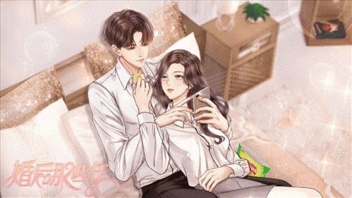 婚后那些年清软破解版3