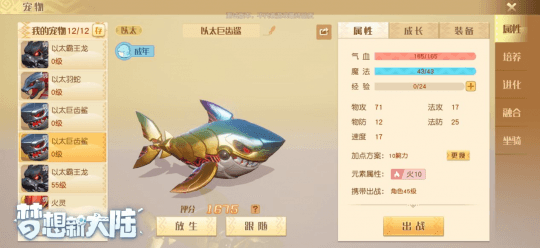 梦想新大陆25