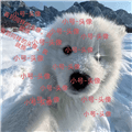 小号连点APP下载安装_小号连点器下载 v2.9.66安卓版
