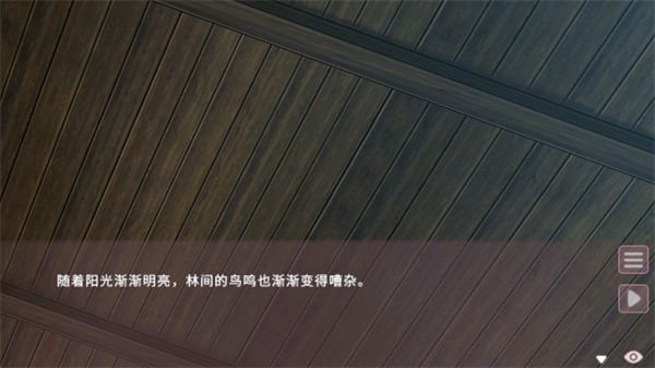 游戏攻略配图3