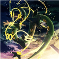 宝可梦格查尔8.2完美汉化版
