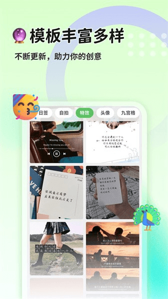 猫制图图片1