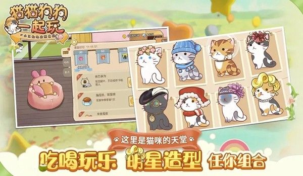 猫猫狗狗一起玩宣传图