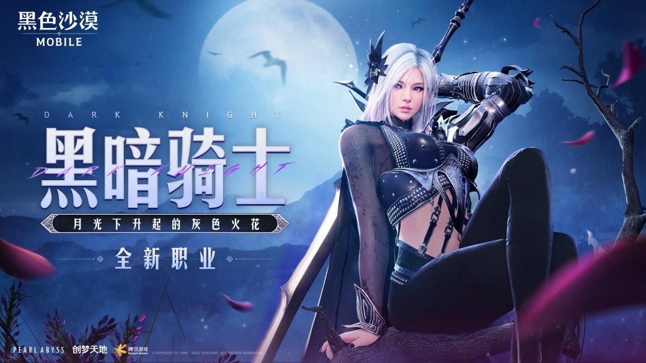 黑色沙漠1