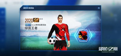 绿茵之巅5