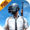pubgmobile测试服下载手机版_PUBG Mobilebeta版下载 v4.6.4手机版