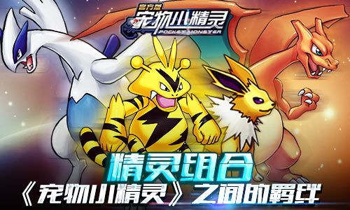 宠物小精灵之精灵组合