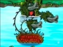 植物介绍配图5