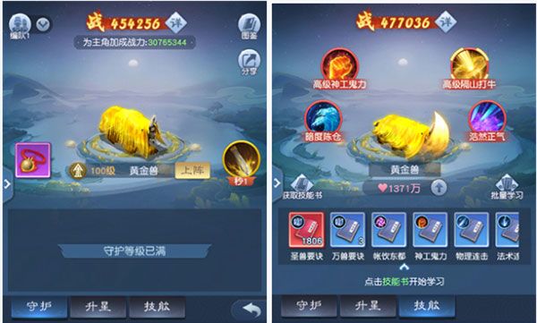 宠物推荐配图4