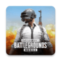 pubg手游日韩版下载_pubg手游韩服下载 v4.4.0安卓版