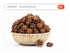 中香网app 中香网app怎么用5