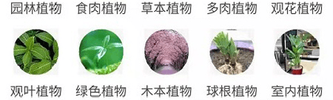 拍照识花app1