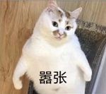 木与火之歌,《盛世遮天》双元神上线! 木与火之歌,《盛世遮天》双元神上线!