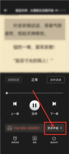 西瓜小说app4