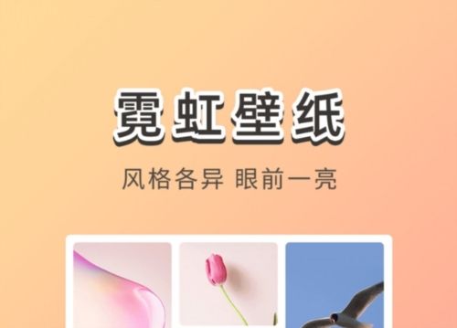 霓虹壁纸软件宣传图