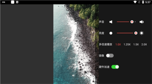 草莓万能播放器app10