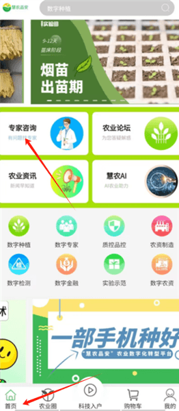怎么咨询专家配图2