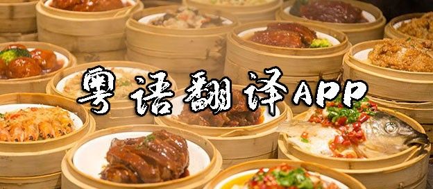 粤语翻译app