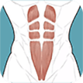 跟我练腹肌app