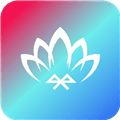 宝莲灯app