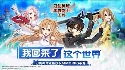 刀剑神域黑衣剑士:王牌