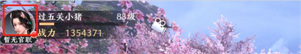 游戏攻略配图3