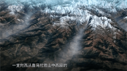 派大星直播2023最新版本图片4