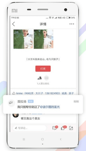 茶竹永川网3