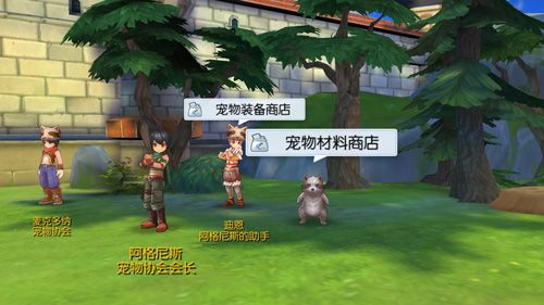 仙境传说RO:守护永恒的爱
