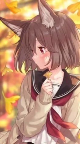 严选漫画免费版软件功能