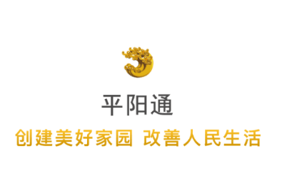 平阳通官方版