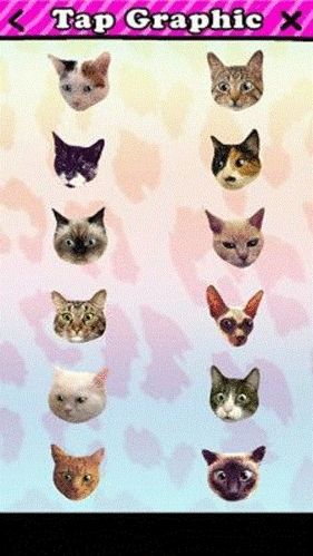 catwang美图app2