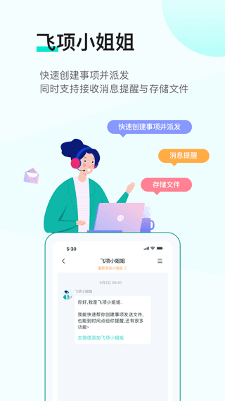 飞项1