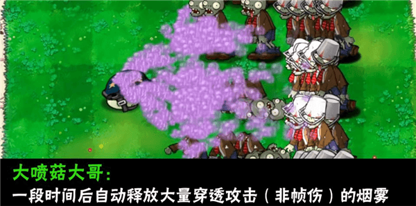植物介绍配图8