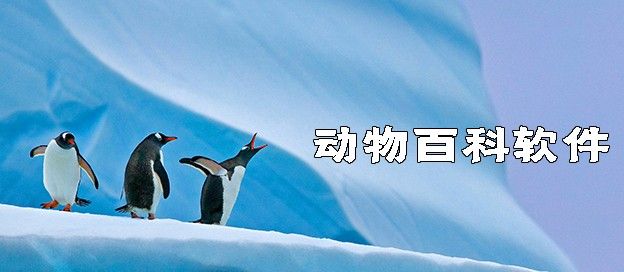 动物百科软件